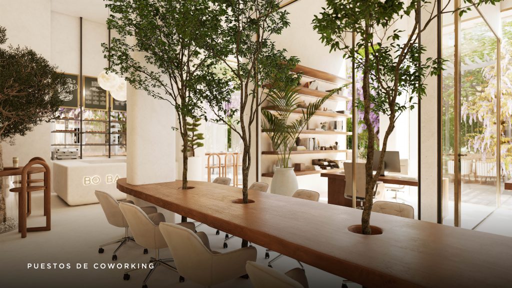 BO BA_Web imagenes instalaciones-01